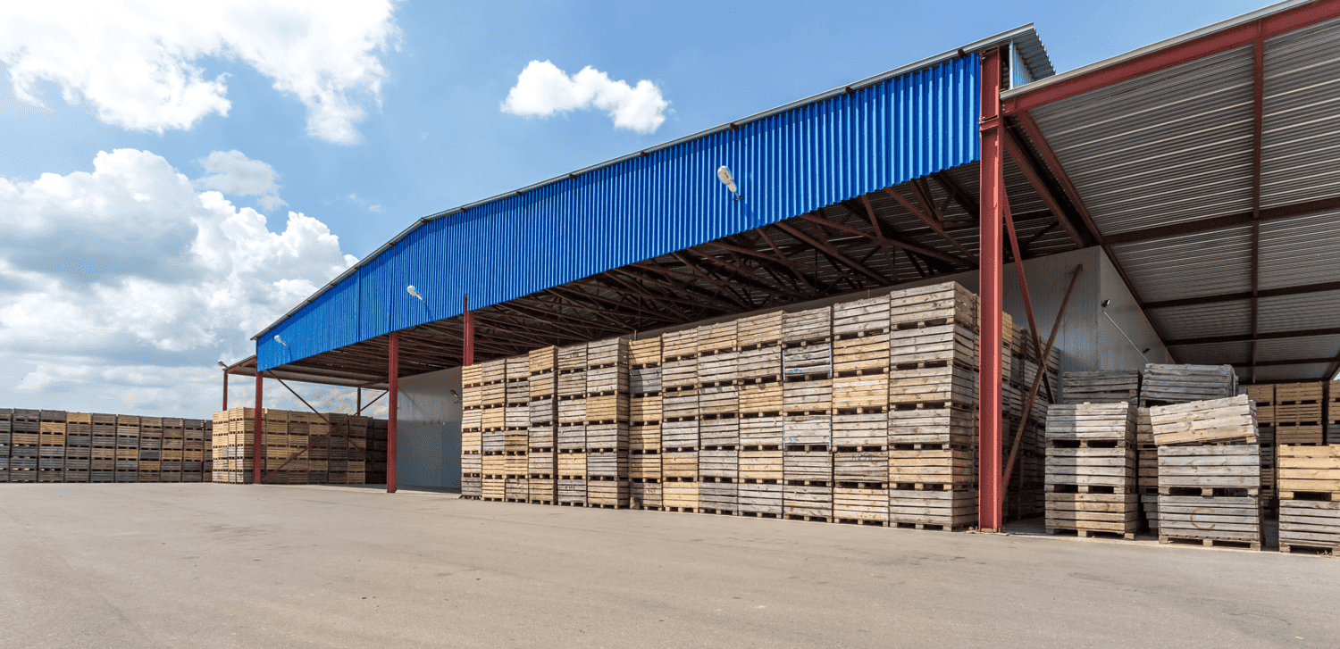 specialize in supplying high-quality plywood species at wholesale prices to various Belgian cities.