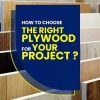 Okoume Marine Plywood Suppliers: How to Choose the Right One for Your Needs