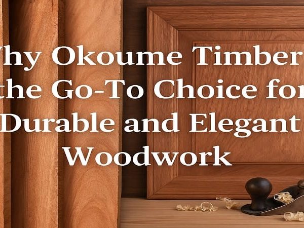 Why Okoume Timber is the Go-To Choice for Durable and Elegant Woodwork
