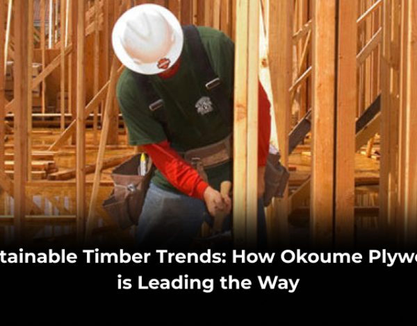 How Okoume Plywood is Leading the Way
