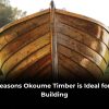 Top Benefits of Okoume Timber