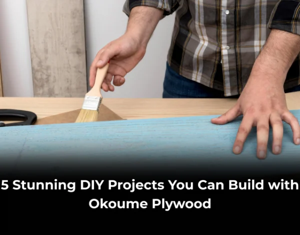 Projects You Can Build with Okoume Plywood