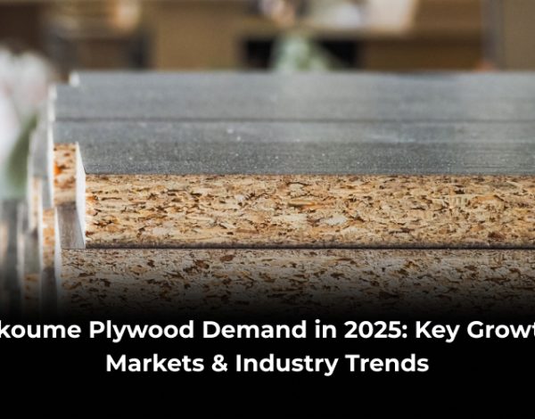 Okoume Plywood Demand in 2025