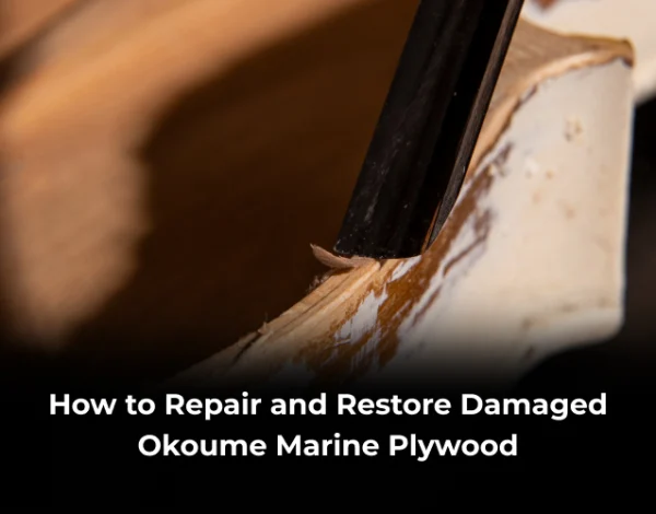 Repair Okoume Marine Plywood