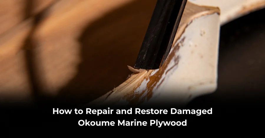 Repair Okoume Marine Plywood
