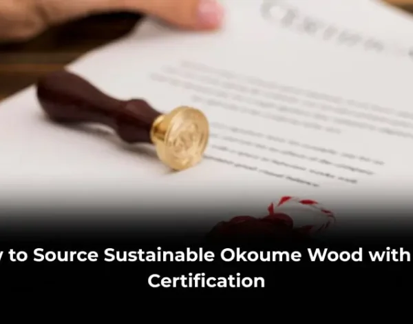 Source Sustainable Okoume Wood