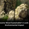 is Okoume a sustainable wood