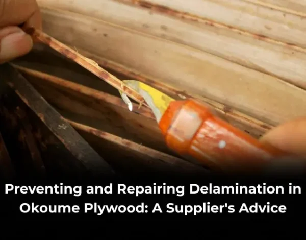okoume plywood delamination