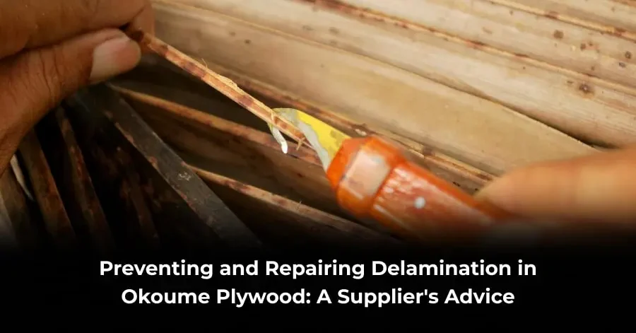 okoume plywood delamination
