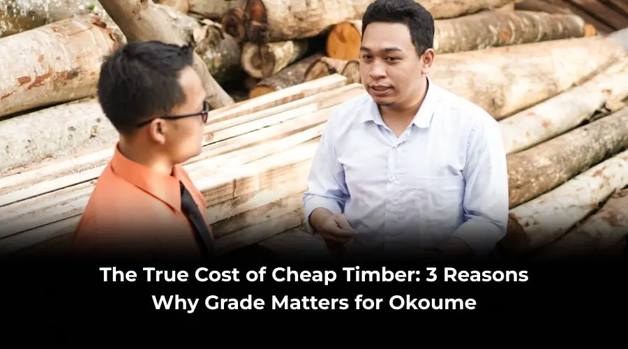 The True Cost of Cheap Timber