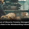 Future of Okoume Forestry Management