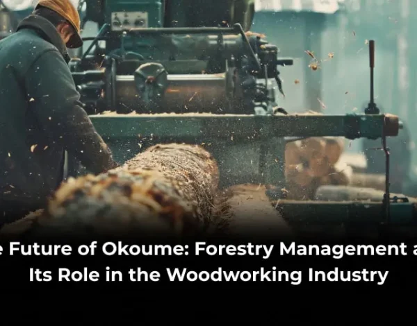 Future of Okoume Forestry Management