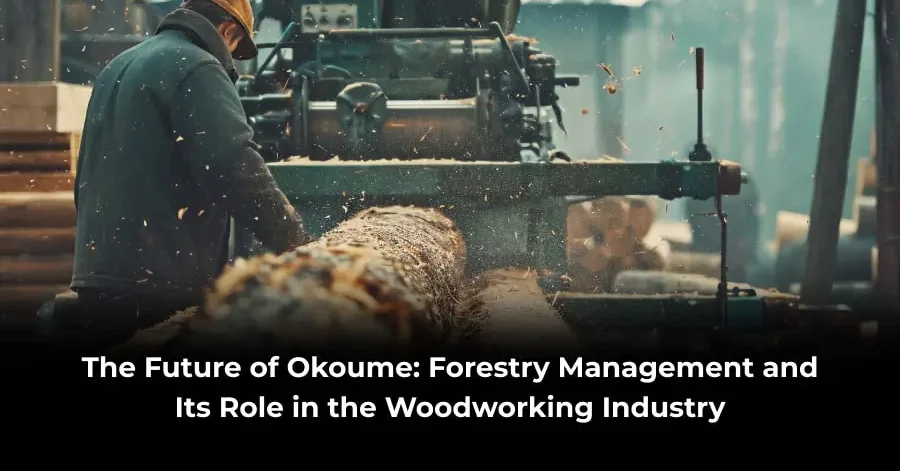 Future of Okoume Forestry Management