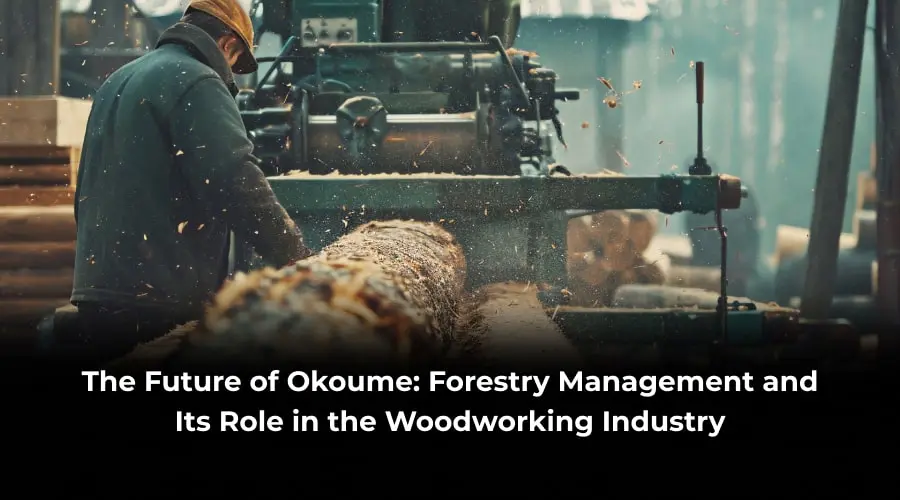 Future of Okoume Forestry Management