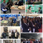 aewwood staff collage