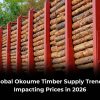 Global okoume timber supply trends 2026