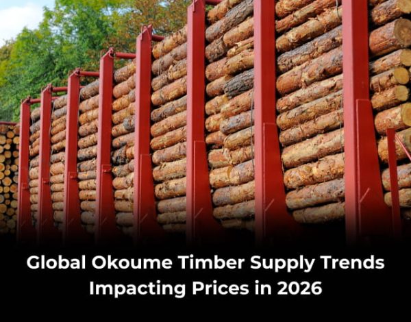 Global okoume timber supply trends 2026