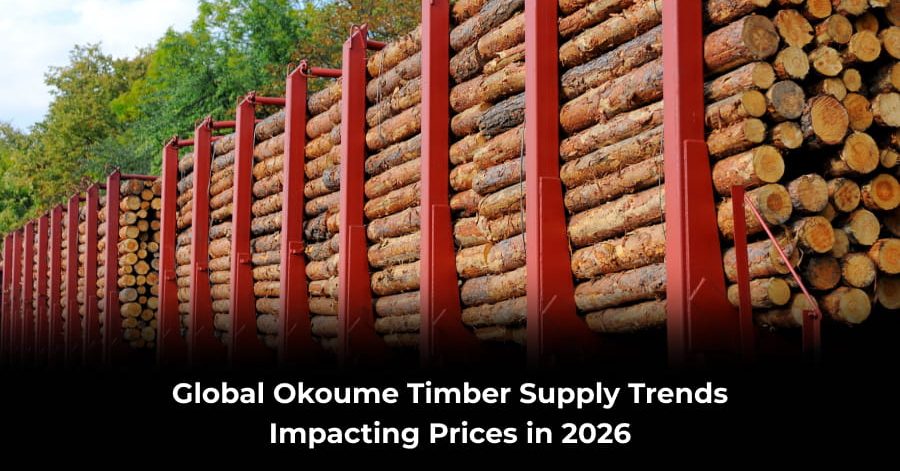 Global okoume timber supply trends 2026