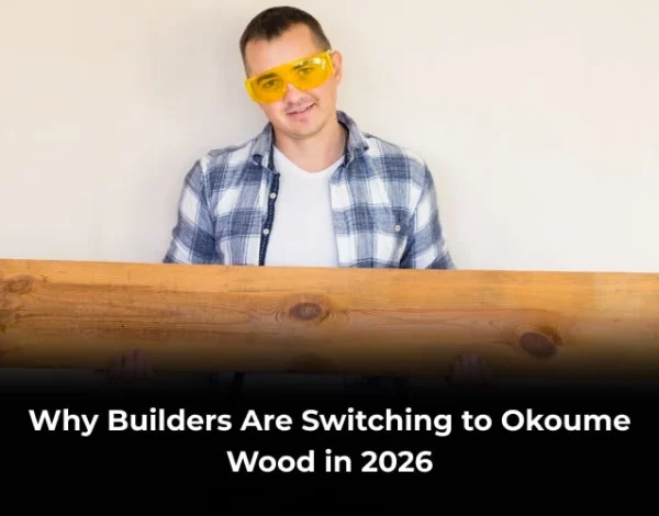 Okoume wood in 2026