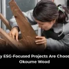 Okoume wood for ESG projects