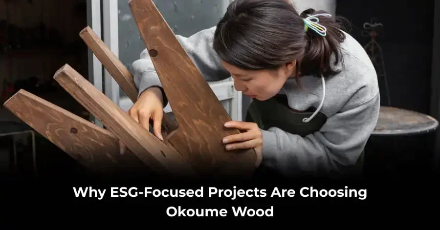 Okoume wood for ESG projects