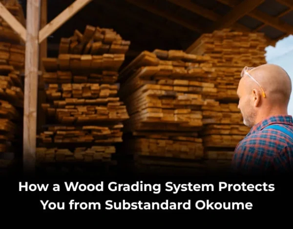 wood grading system for okoume