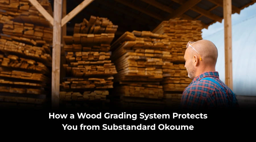 wood grading system for okoume