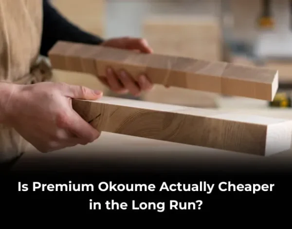 premium okoume plywood long term cost