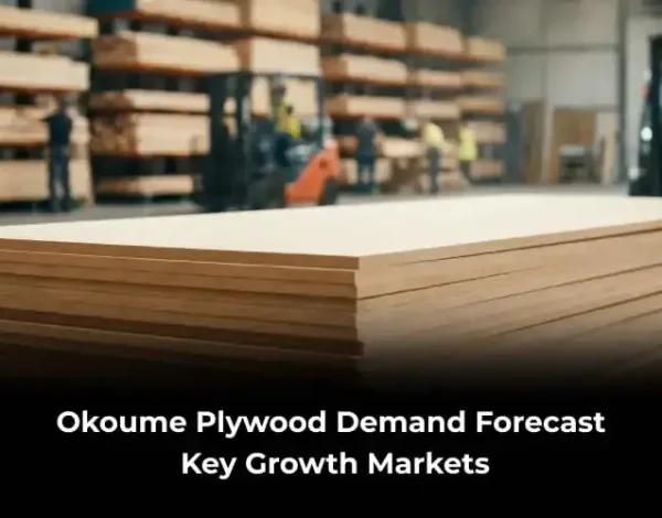Okoume Plywood Demand Forecast