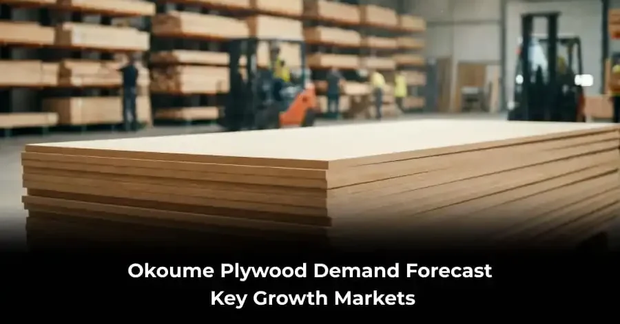 Okoume Plywood Demand Forecast