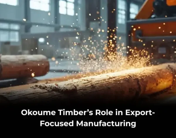 okoume timber in export manufacturing