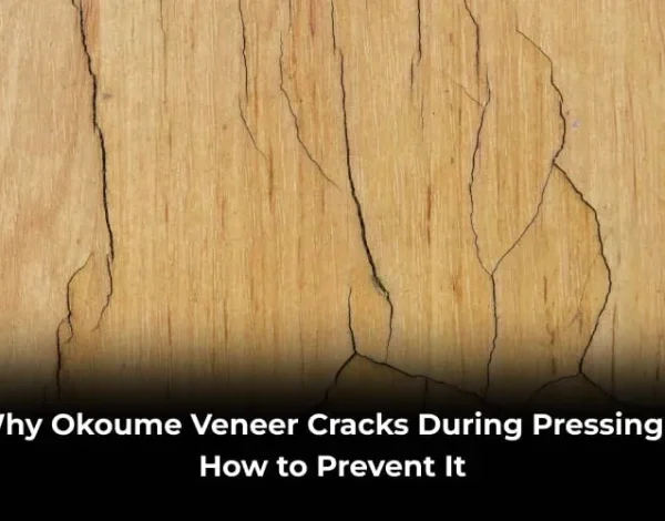 okoume veneer cracks during pressing