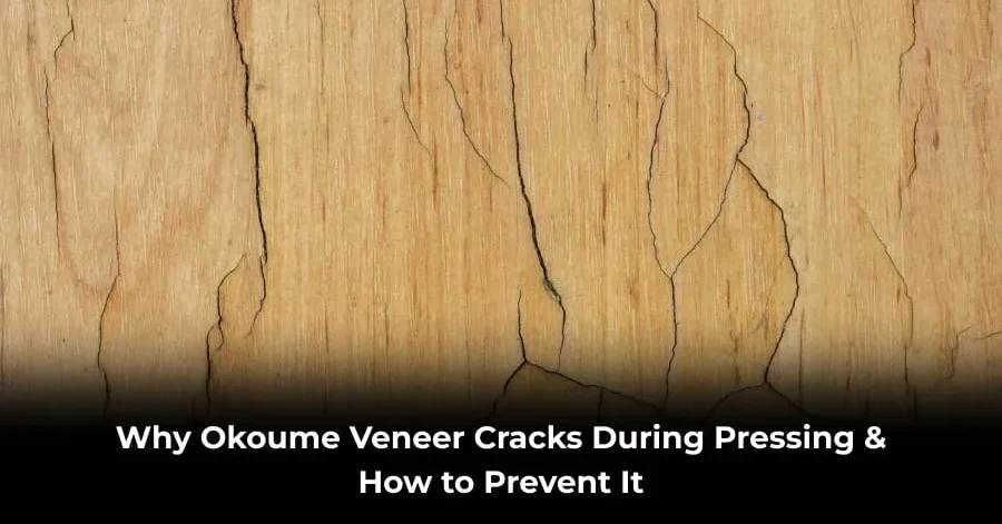 okoume veneer cracks during pressing