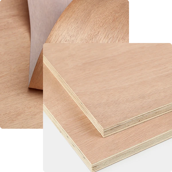 okoume products