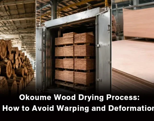 Okoume wood drying process for plywood manufacturing