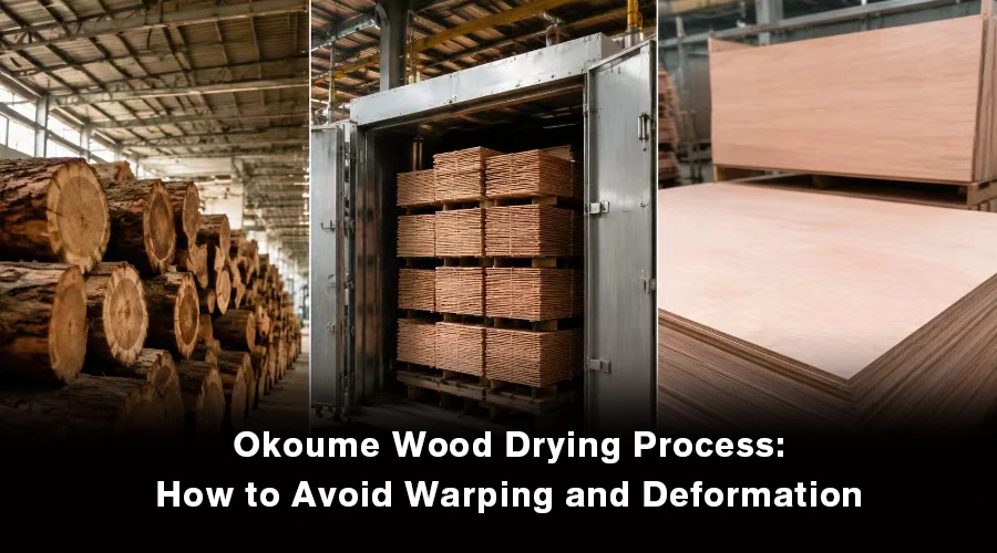 Okoume wood drying process for plywood manufacturing