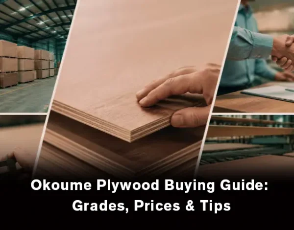 Okoume plywood buying guide showing high quality plywood sheets for buyers