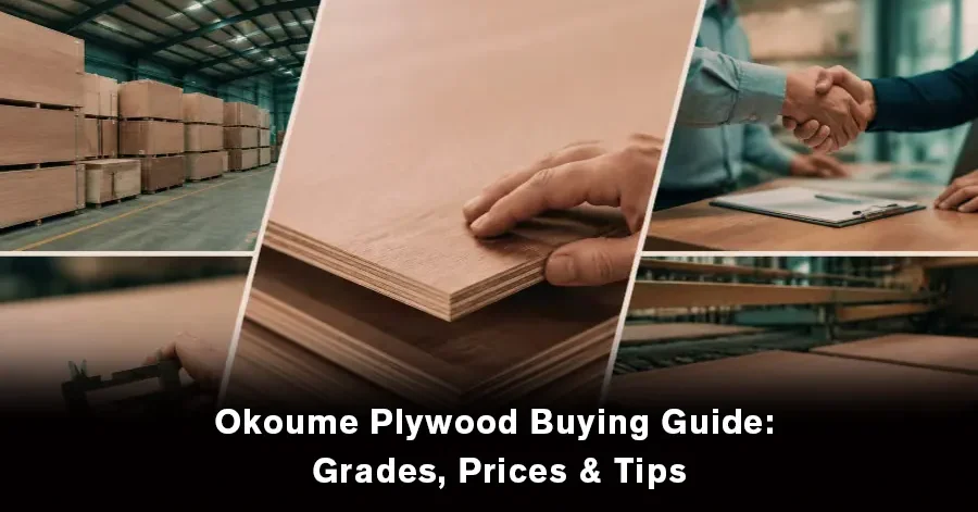 Okoume plywood buying guide showing high quality plywood sheets for buyers