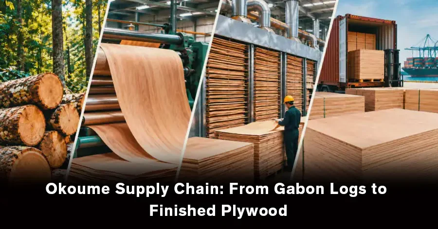 Okoume supply chain from Gabon logs to finished plywood