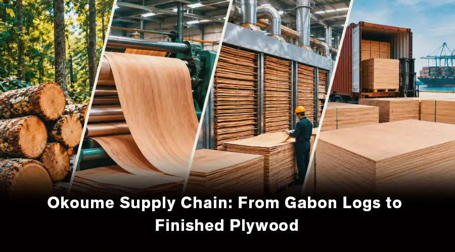 Okoume supply chain from Gabon logs to finished plywood